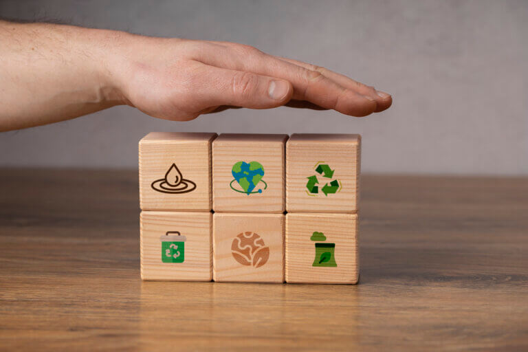 sustainable development goals still life